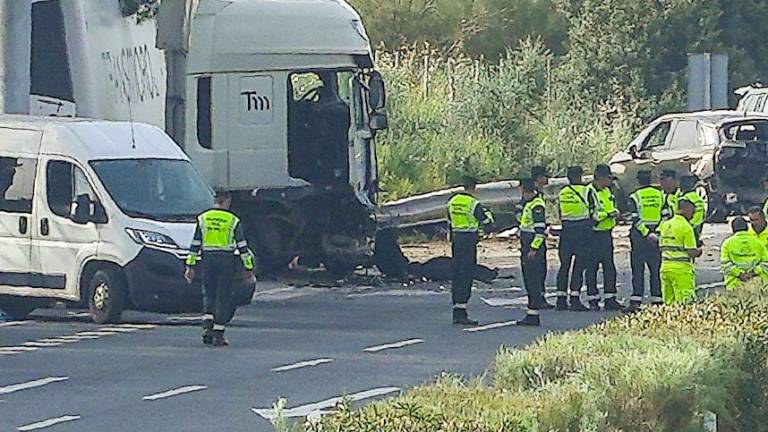 Seis muertos, dos de ellos guardias civiles, al arrollar un camión un control en Los Palacios (Sevilla) Seis muertos, dos de ellos guardias civiles, al arrollar un camión un control en Los Palacios (Sevilla)