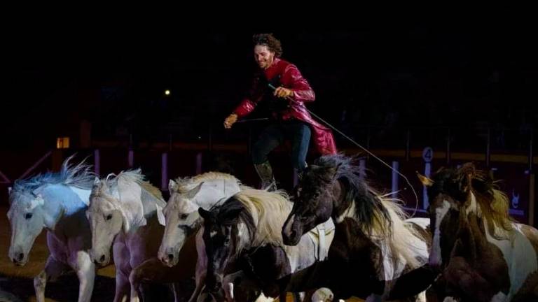 Paco Martos sorprenderá en San Lucas con su maestría ecuestre Paco Martos sorprenderá en San Lucas con su maestría ecuestre