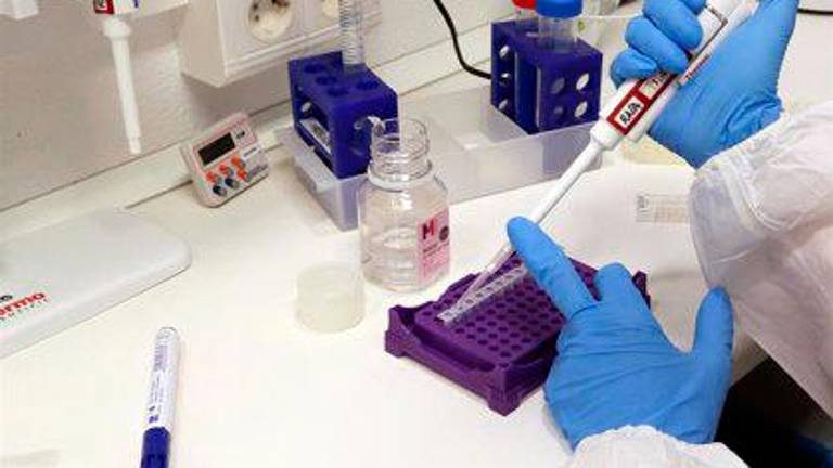 La Agencia Europea del Medicamento aprueba la autorización de la vacuna de Moderna La Agencia Europea del Medicamento aprueba la autorización de la vacuna de Moderna