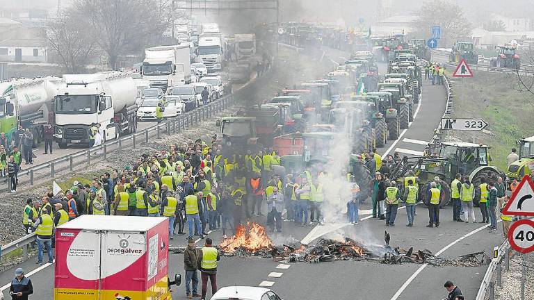 Los agricultores bloquearán el puerto de Algeciras el jueves Los agricultores bloquearán el puerto de Algeciras el jueves