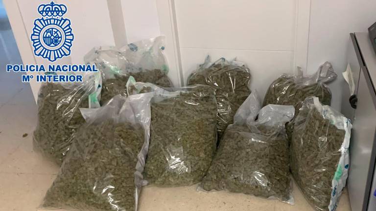 Operación Mortadela en Linares: 30 kilos de cogollo de marihuana decomisados Operación Mortadela en Linares: 30 kilos de cogollo de marihuana decomisados