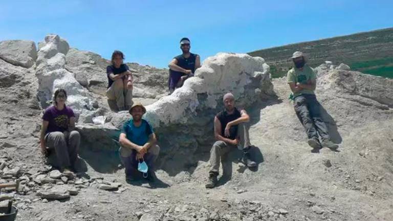 Recuperada una columna vertebral de un dinosaurio gigante en Camarillas Recuperada una columna vertebral de un dinosaurio gigante en Camarillas