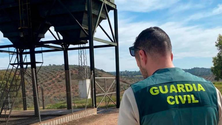 Investigadas 3 personas de Linares por apropiación indebida de 263.744 kilos de aceituna Investigadas 3 personas de Linares por apropiación indebida de 263.744 kilos de aceituna