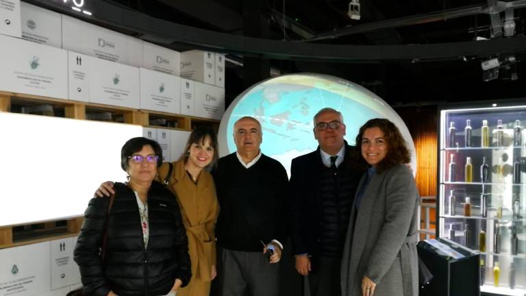 Plan para que Terra Oleum entre en la Red de Museos Plan para que Terra Oleum entre en la Red de Museos
