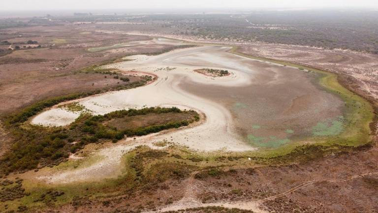 La laguna más grande de Doñana se seca por segundo año consecutivo, algo nunca registrado La laguna más grande de Doñana se seca por segundo año consecutivo, algo nunca registrado