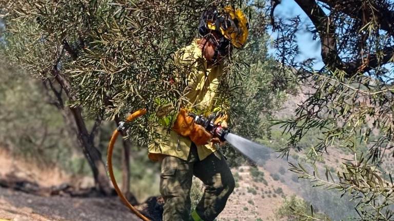 El Plan Infoca da por estabilizado el incendio forestal de Almuñécar, en el que han ardido 590 hectáreas El Plan Infoca da por estabilizado el incendio forestal de Almuñécar, en el que han ardido 590 hectáreas