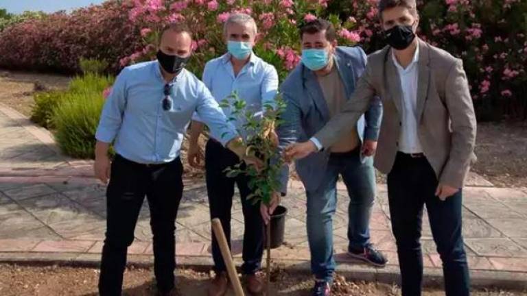 Macrosad se compromete a plantar 10.000 árboles en 2021 con una iniciativa para mayores y niños