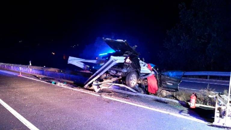 Mueren dos jóvenes de 18 años en una salida de vía provocada por un jabalí en Lugo Mueren dos jóvenes de 18 años en una salida de vía provocada por un jabalí en Lugo