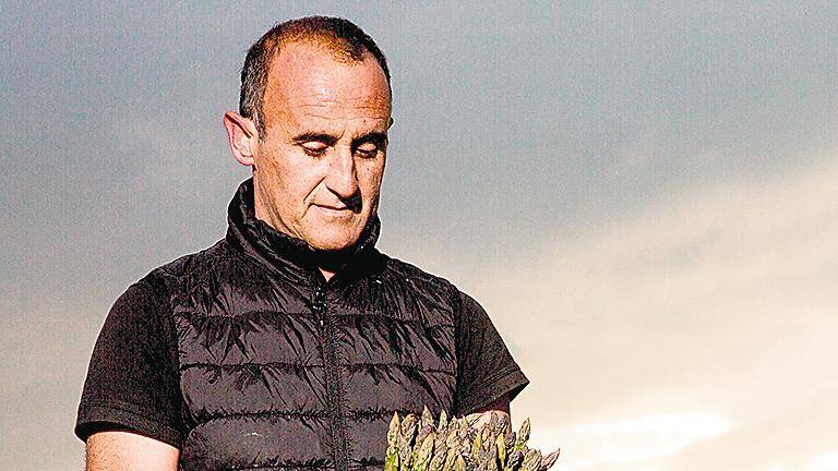 Apuesta de Carrefour por el espárrago verde Apuesta de Carrefour por el espárrago verde