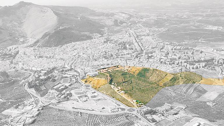 El Parque Comarcal regresa con un proyecto más amplio El Parque Comarcal regresa con un proyecto más amplio