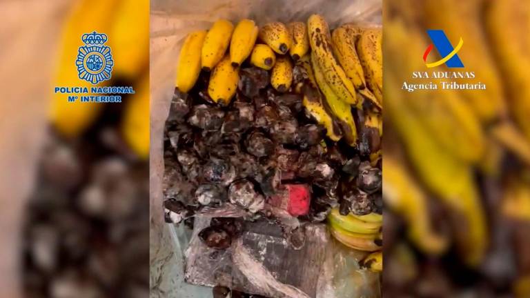 Intentaban pasar 600 kilos de cocaína camuflada en plátanos Intentaban pasar 600 kilos de cocaína camuflada en plátanos