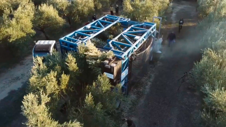 Demostración del prototipo de cosechadora para olivos de almazara Demostración del prototipo de cosechadora para olivos de almazara