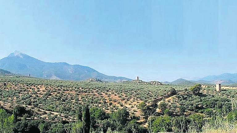 SOS por diez monumentos de la provincia SOS por diez monumentos de la provincia