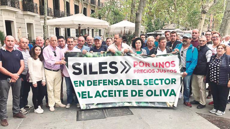 El olivar se levanta por el bajo precio del aceite El olivar se levanta por el bajo precio del aceite