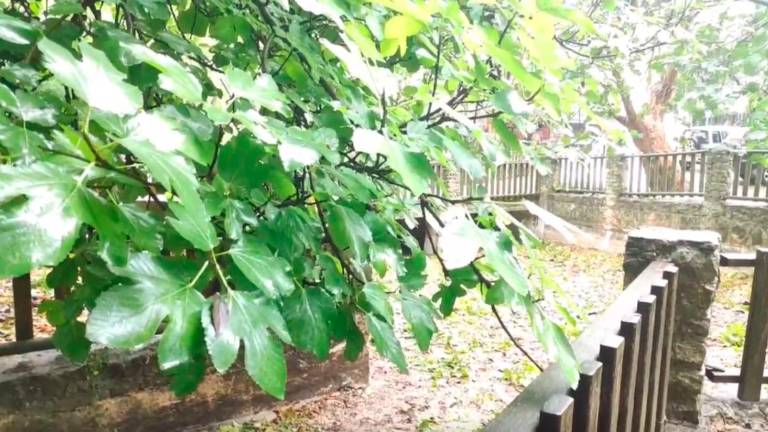 Falta le hacía la lluvia a Hútar Falta le hacía la lluvia a Hútar