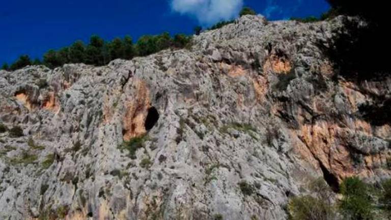 Torres proyecta un sendero con una pasarela colgante en Las Cimbras Torres proyecta un sendero con una pasarela colgante en Las Cimbras