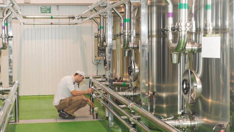 La cosecha tendrá un 10% menos de producción que la esperada La cosecha tendrá un 10% menos de producción que la esperada