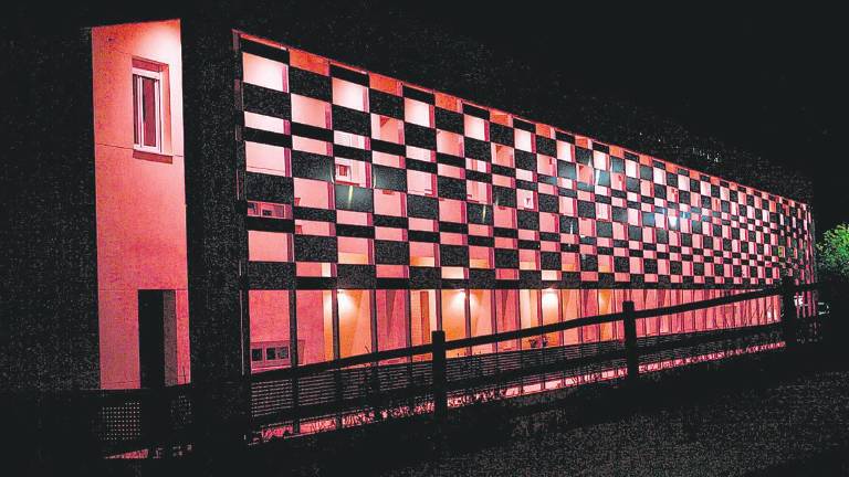 El rosa como merecido homenaje El rosa como merecido homenaje