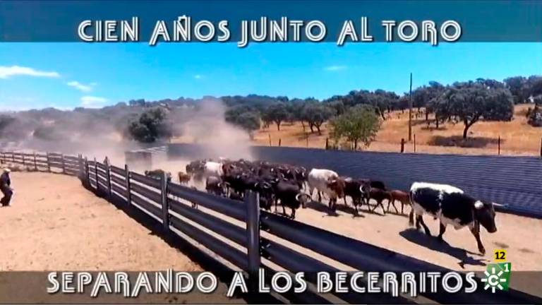 Traslados centenarios en los caminos de Sierra Morena Traslados centenarios en los caminos de Sierra Morena