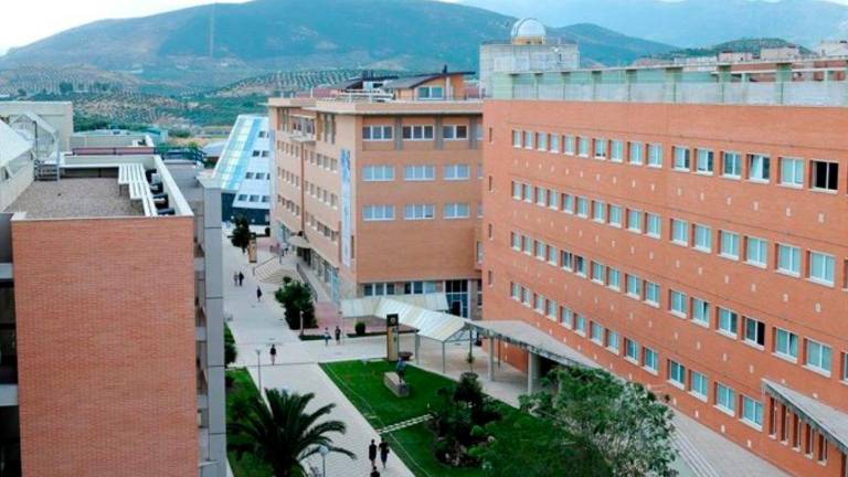La movilización en defensa de la UJA se mantiene para dejar “claro” que “no está sola” La movilización en defensa de la UJA se mantiene para dejar “claro” que “no está sola”
