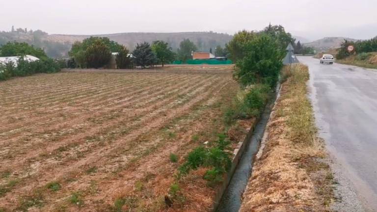 Agradecida lluvia en Ribera Baja Agradecida lluvia en Ribera Baja