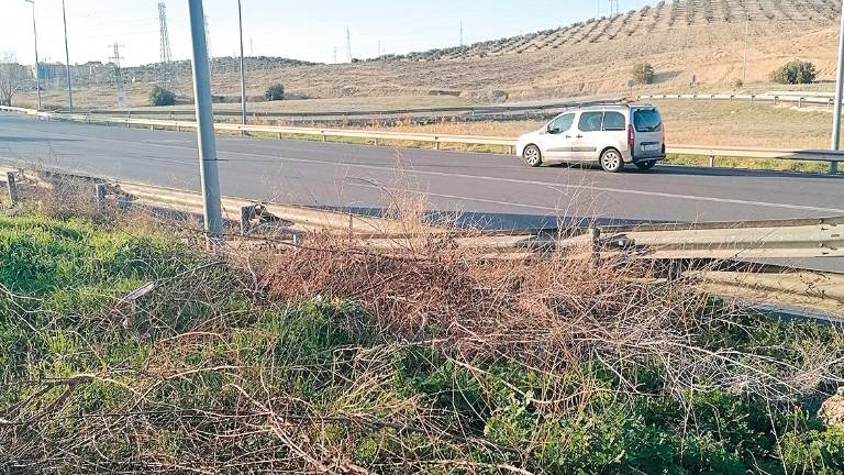 No hay ningún radar oculto entre la hierba No hay ningún radar oculto entre la hierba