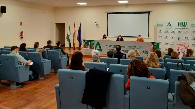 La Delegación de Salud y Familias celebra la primera Comisión Provincial de Violencia de Género La Delegación de Salud y Familias celebra la primera Comisión Provincial de Violencia de Género