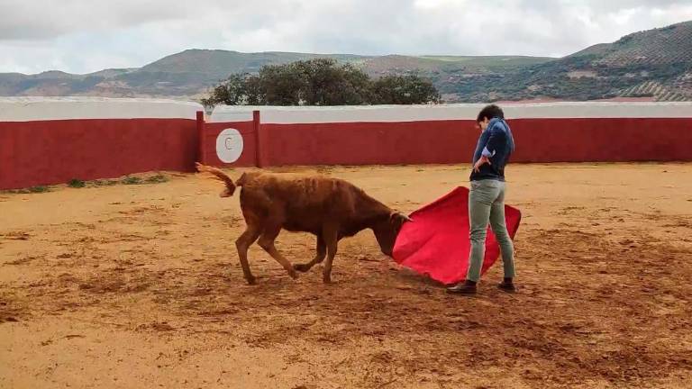 De tentadero: El campo bravo en otoño por Sierra Morena De tentadero: El campo bravo en otoño por Sierra Morena