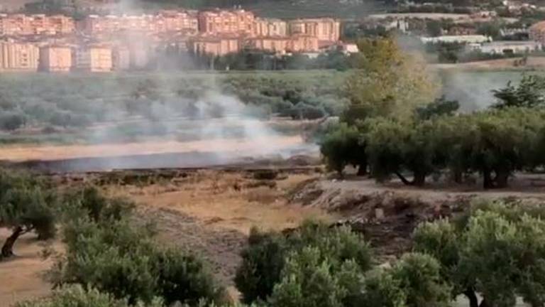 Una zona de pasto seco arde en la zona del Bulevar Una zona de pasto seco arde en la zona del Bulevar