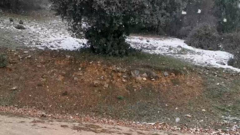 Vuelve a nevar en la Sierra de Cazorla, copos grandes Vuelve a nevar en la Sierra de Cazorla, copos grandes