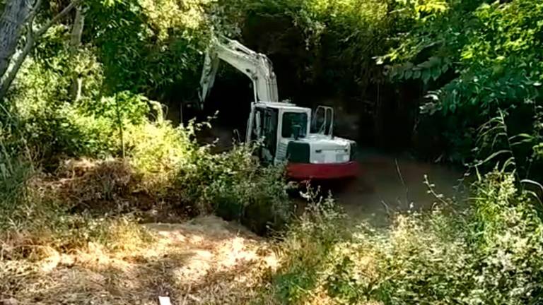 Pérdida de biodiversidad por el constante dragado del río Jaén