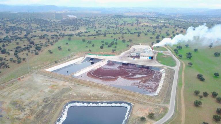Fallece un trabajador de 29 años al reventarle una rueda de un tractor en una orujera en La Carolina Fallece un trabajador de 29 años al reventarle una rueda de un tractor en una orujera en La Carolina