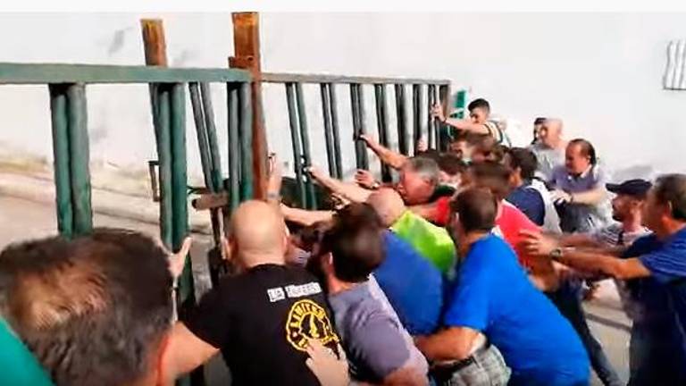 Un toro rompe la valla y casi se mete en una casa en Génave Un toro rompe la valla y casi se mete en una casa en Génave