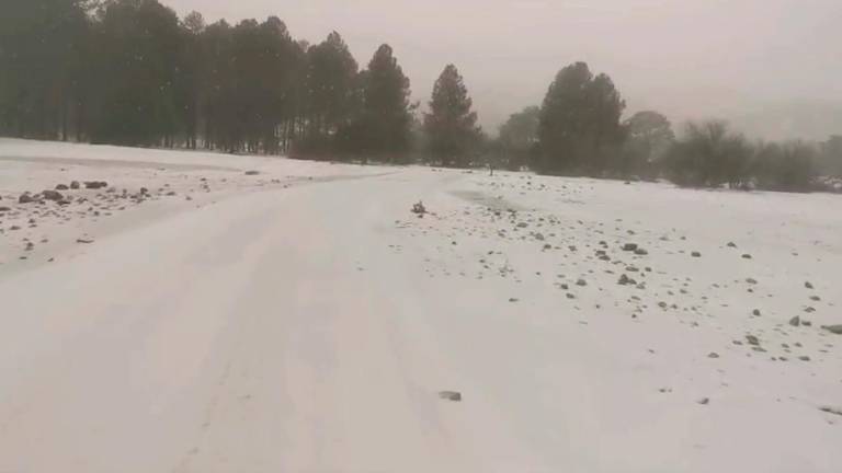Vea el resumen de un documental único, buscamos la nieve en el pino de Rodríguez de la Fuente (Cazorla) Vea el resumen de un documental único, buscamos la nieve en el pino de Rodríguez de la Fuente (Cazorla)