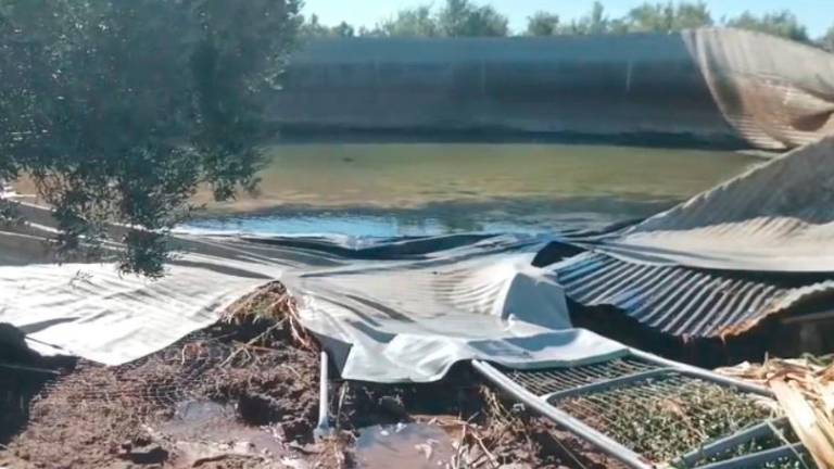Riada por la rotura de una balsa de riego en Begíjar Riada por la rotura de una balsa de riego en Begíjar