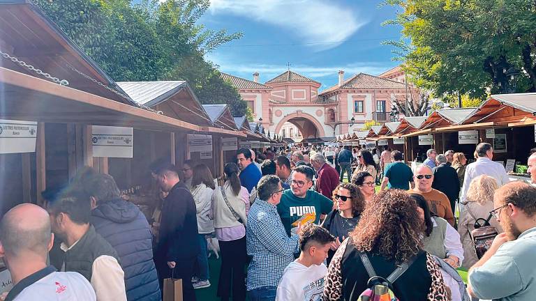 “Éxito rotundo” de la XI Fiesta del Primer Aceite de Jaén “Éxito rotundo” de la XI Fiesta del Primer Aceite de Jaén