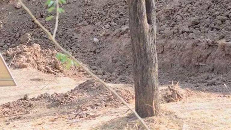En esta fotografía hay un leopardo y se ha hecho viral porque no es fácil detectarlo a la primera En esta fotografía hay un leopardo y se ha hecho viral porque no es fácil detectarlo a la primera