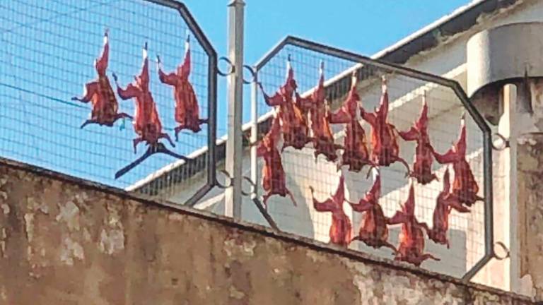 Carne secándose en la azotea Carne secándose en la azotea