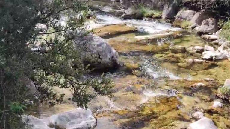 Aguas cristalinas del arroyo de los Tornillos de Gualay, por la Cerrada de la Canaliega Aguas cristalinas del arroyo de los Tornillos de Gualay, por la Cerrada de la Canaliega