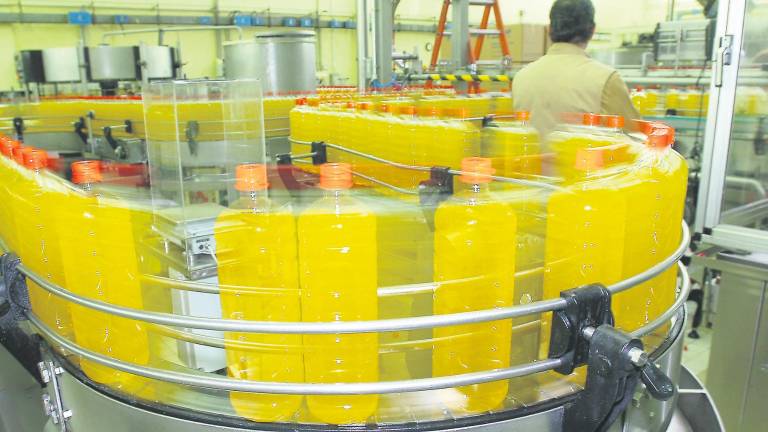 La venta de aceite, camino de apuntar una campaña récord La venta de aceite, camino de apuntar una campaña récord