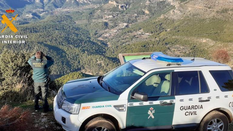Investigan a ocho personas por caza furtiva de ciervos en Andújar Investigan a ocho personas por caza furtiva de ciervos en Andújar