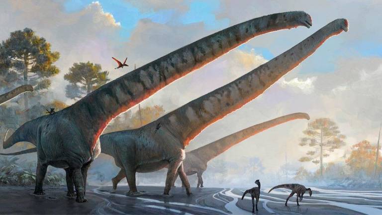 El dinosaurio con el cuello más largo jamás descubierto El dinosaurio con el cuello más largo jamás descubierto