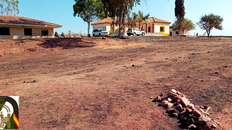 La Policía investiga al responsable de un incendio en Linares que afectó a más de 10 hectáreas La Policía investiga al responsable de un incendio en Linares que afectó a más de 10 hectáreas