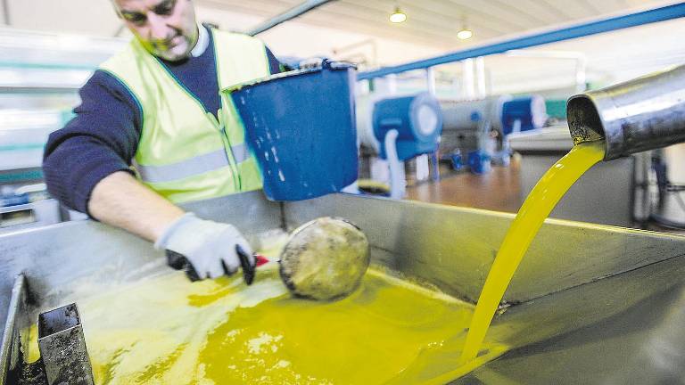 El valor de las exportaciones de aceite disminuye un 33% El valor de las exportaciones de aceite disminuye un 33%