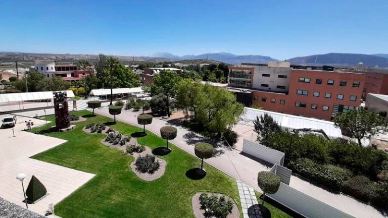 La UJA dispondrá de 1,32 millones para contratar a jóvenes investigadores y técnicos de apoyo a la I+D La UJA dispondrá de 1,32 millones para contratar a jóvenes investigadores y técnicos de apoyo a la I+D