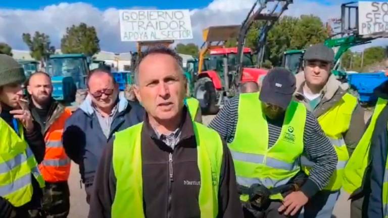 Rogelio Heredia, de la plataforma 6F: “Lo único que queremos es sobrevivir y comer de nuestro trabajo” Rogelio Heredia, de la plataforma 6F: “Lo único que queremos es sobrevivir y comer de nuestro trabajo”