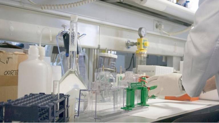 Medicina cubre a la primera sus 60 plazas en Jaén Medicina cubre a la primera sus 60 plazas en Jaén