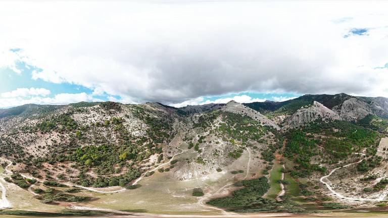 Encina de El Cañuelo: Ni un rayo que la parta Encina de El Cañuelo: Ni un rayo que la parta
