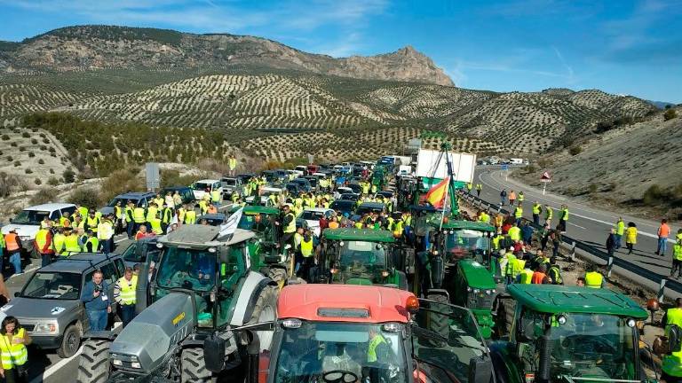 La histórica movilización de los aceituneros de Jaén en 2020 La histórica movilización de los aceituneros de Jaén en 2020
