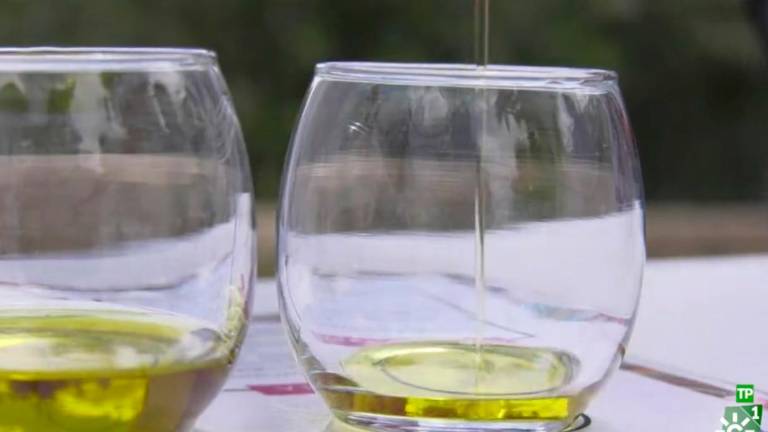 Úbeda y Baeza, unidas por el oro liquido en la pantalla Úbeda y Baeza, unidas por el oro liquido en la pantalla
